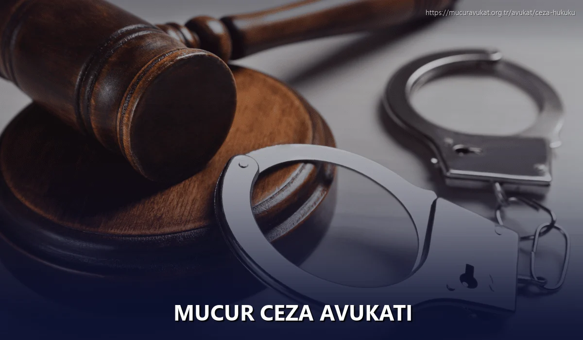Mucur Ceza Avukatı